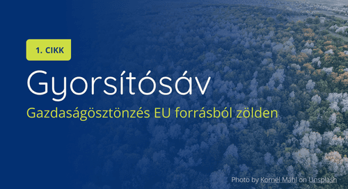 A magyar gazdaságnak stimulus kell